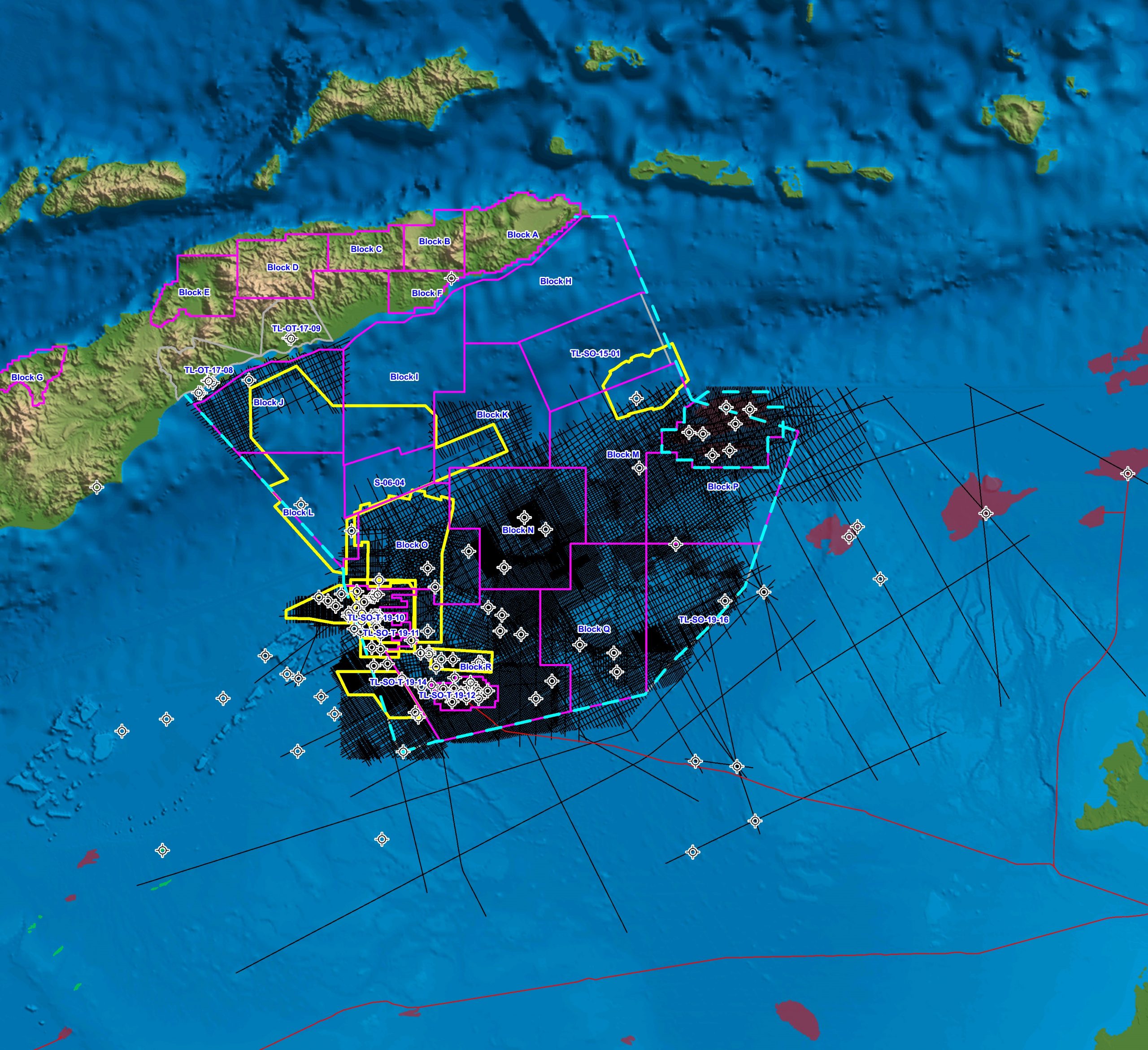 Searcher Timor Leste