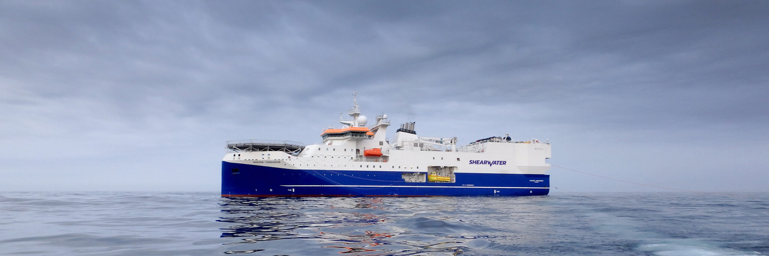 Shearwater