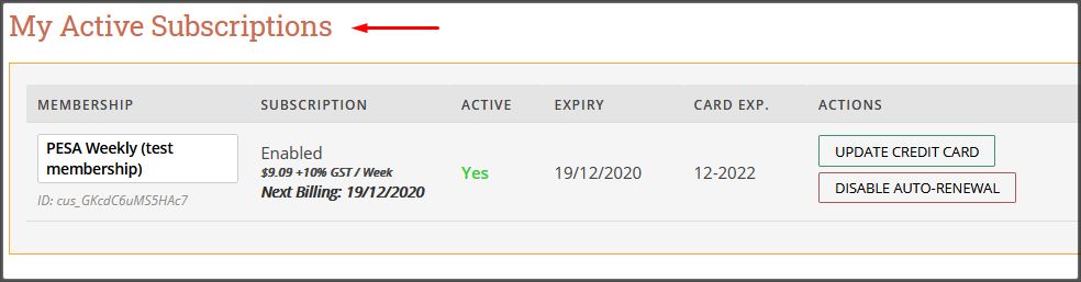 active subscriptions on the dashboard page